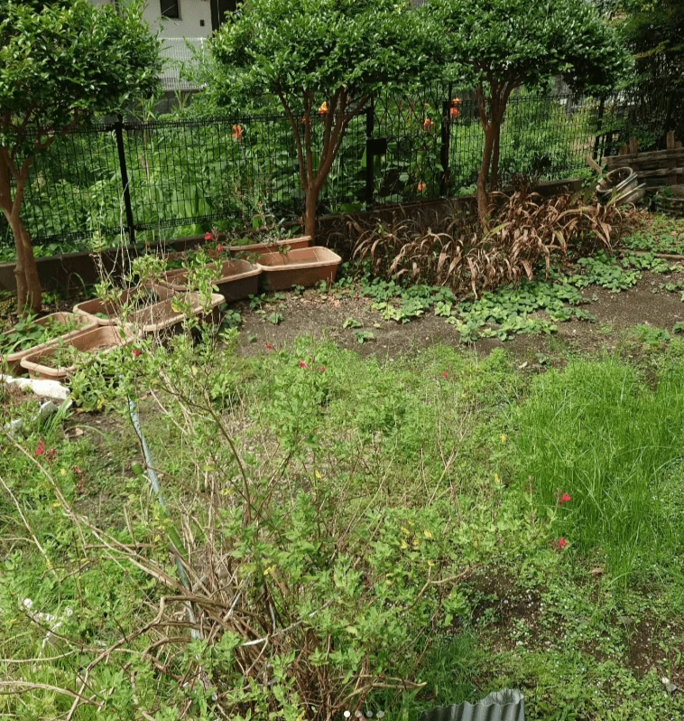 Before