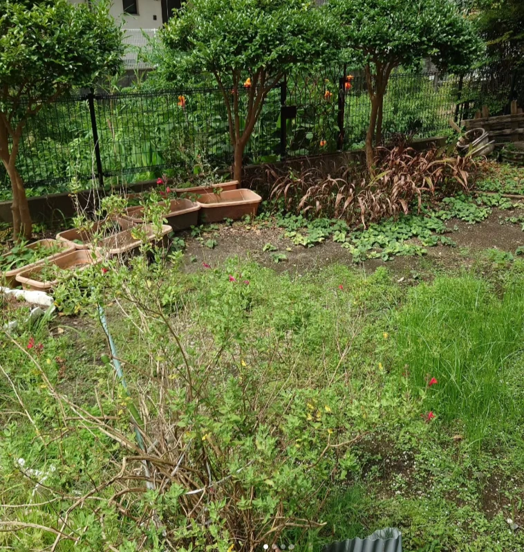before画像