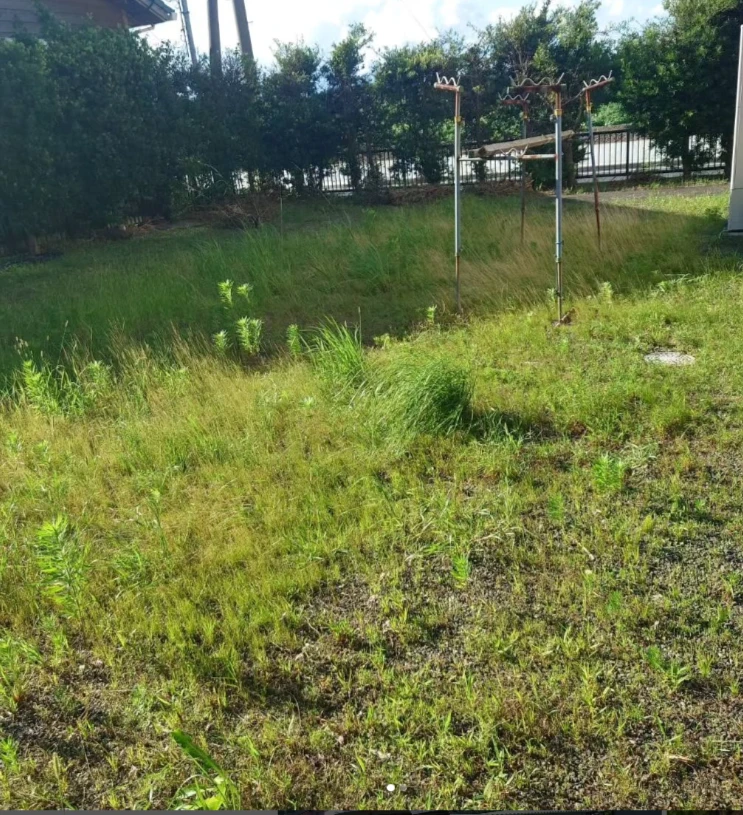 before画像